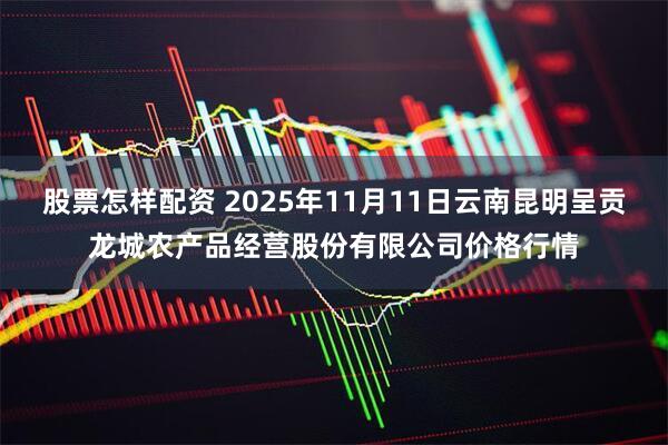 股票怎样配资 2025年11月11日云南昆明呈贡龙城农产品经营股份有限公司价格行情