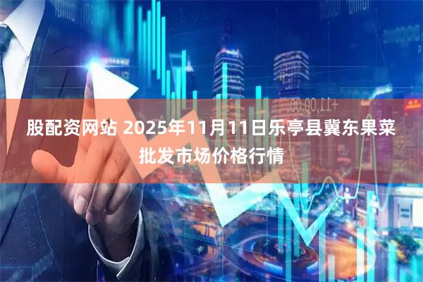 股配资网站 2025年11月11日乐亭县冀东果菜批发市场价格行情